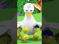 خمس بطات صغيرة Shorts Cartoon Fivelittleducks Video Rhymes 