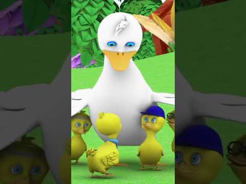 خمس بطات صغيرة Shorts Cartoon Fivelittleducks Video Rhymes 