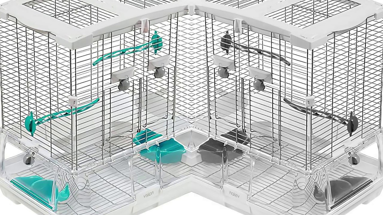 Curated visual reference: Exotic Pet Birds Vision Cages Photo Inspiration
