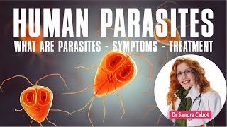 Kill Parasites in Humans | Symptoms | Treatment #parasites #giardia #leishmania