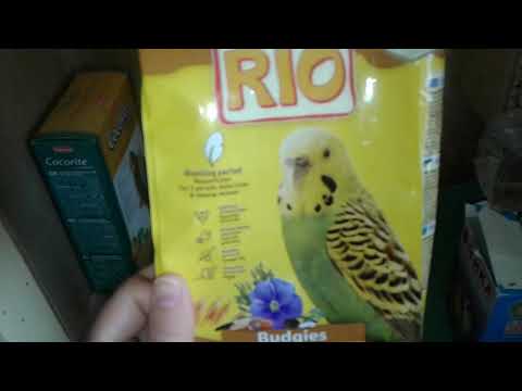 Обзор корма Rio для волнистых попугаев