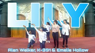 Alan Walker, K-391 & Emelie Hollow - Lily | IRO Choreography