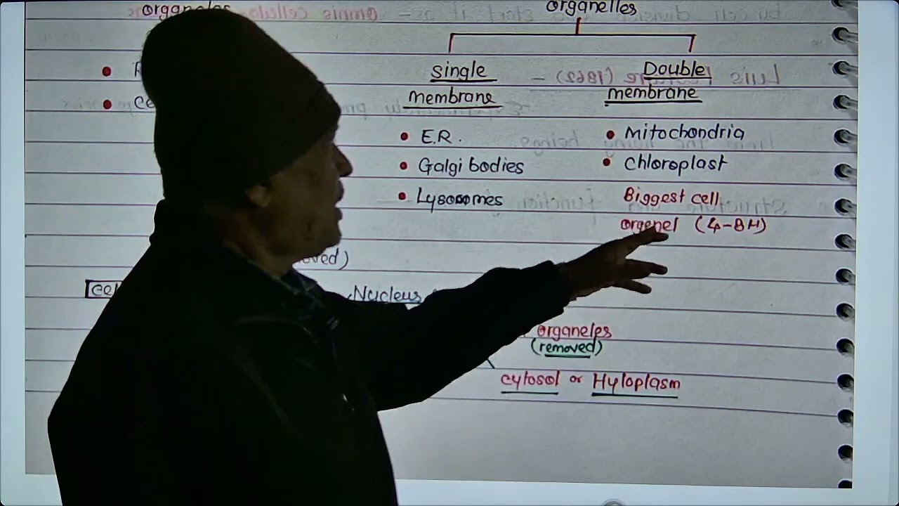 CYTOLOGY MARATHON CLASS 