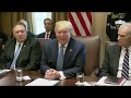 President Trump Participates in a Cabinet Meeting