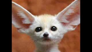 Lysette   Young, sad & blue Rare Remix