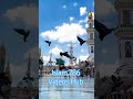 #naatsharif #islamicshorts #droodsharif #islamicvideo #allahuakbar