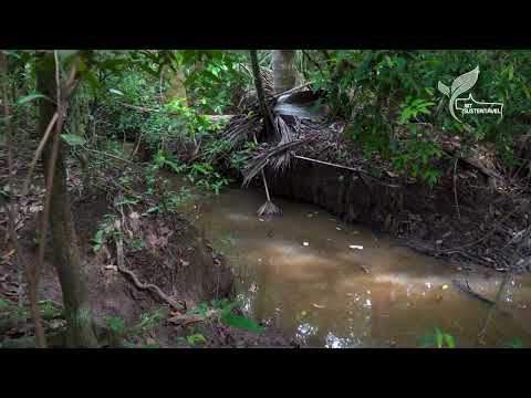 Mais de 100 mil nascentes são monitoradas em Mato Grosso | MT Sustentável ep. 52 | Canal Rural