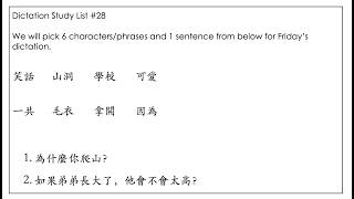 28 Dictation 4/17/26