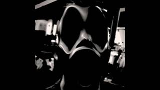 @paudemadeiragrandes 17000 phase full song