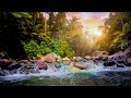 😴 Deep Sleep Drone + River Ambience 🌊 Soothing Black Screen Sleep Music #relaxing #relax #nature