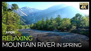 Relaxing Spring Mountain River