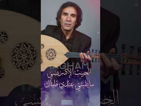 الحبيب الادريسي مابقيتي عندي فلبال