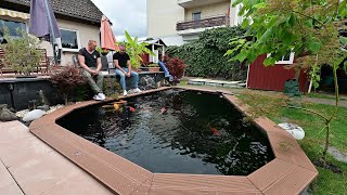 Modern Koi Blog #4746 - Lena and Nils' self-built 16,500 liter pond