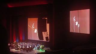 El Barbero de Sevilla Bugs Bunny Sinfónico Auditorio Nacional Noviembre 2023
