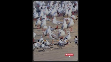 "أقوى تلاوة تهز القلب... حتى لو ما كنت ناوي تسمع" #المصحف