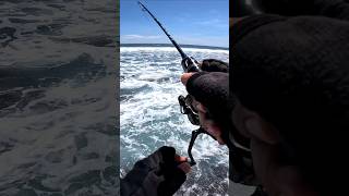 Crazy Day Fishing With Shrimp Light Setup Overpowered