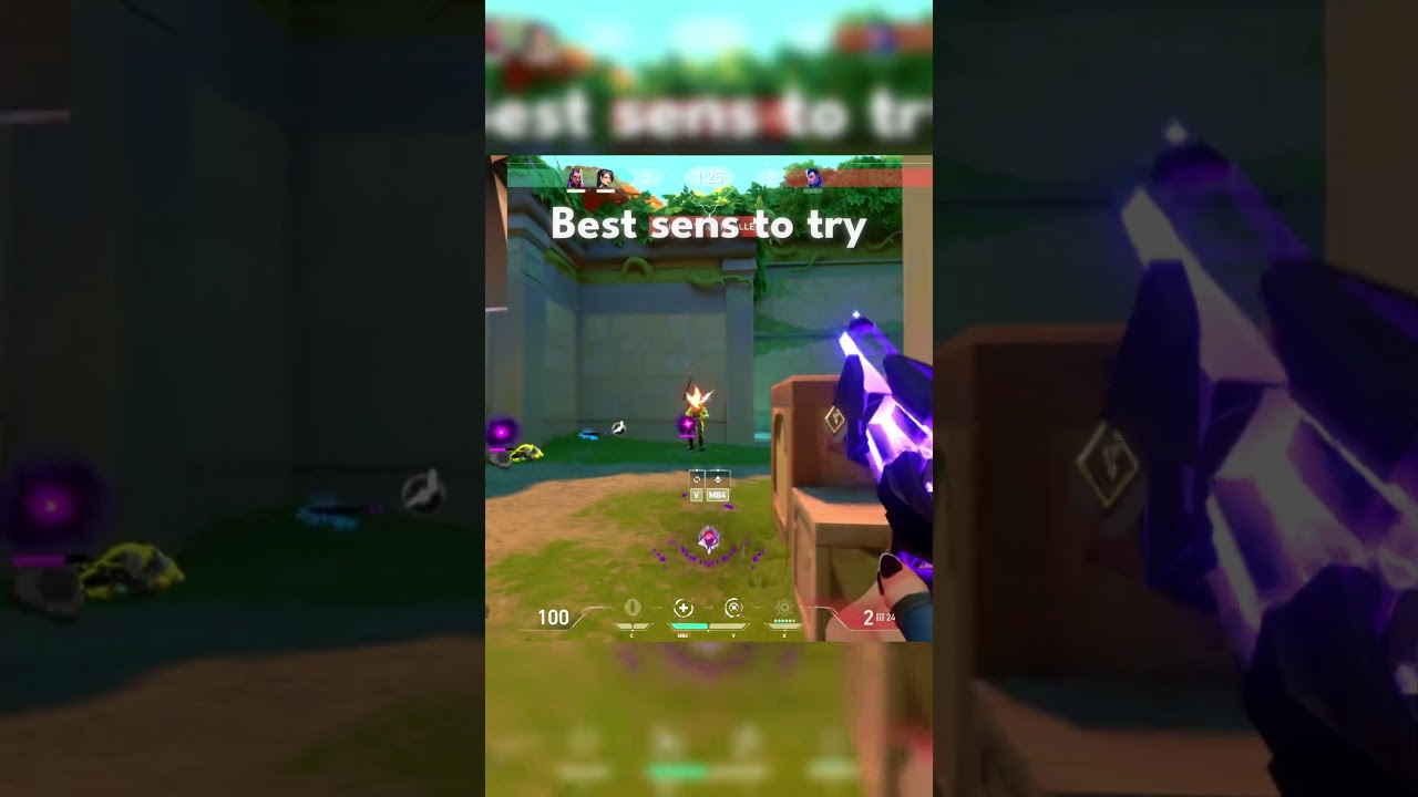 the BEST sens to try? 