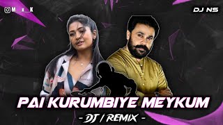 Paikkurumbiye Meykkum Remix By Dj Nithin Smiley From Mk City...