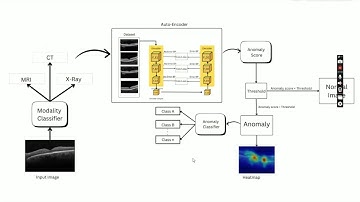 Multi-Modality Anomaly Detection and  Classification