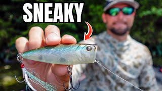The SNEAKY Technique Pros Quietly Still Use…
