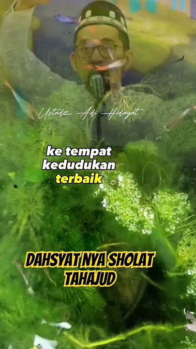 DAHSYATNYA SHOLAT TAHAJUD..#tahajjud #doa #malam #dzikir #makrifat #sholawat #shorts #quran #sukses