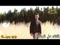 عيني بعينك صارحني علي الصالح يابوضحكه يامدلل أورغ فادي الجراش عيني بعينك صارحني علي الصالح يابوضحكه يامدلل أورغ فادي الجراش