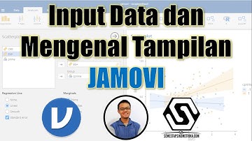 Cara Input Data dan Mengenal Tampilan Jamovi