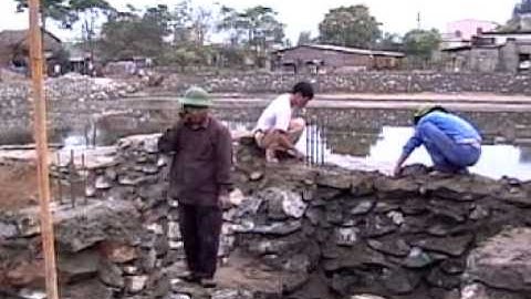 3 MPEG1 VCD NTSC Video III: - 2-2009