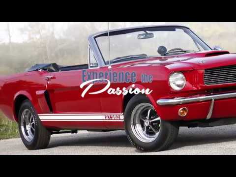 1966 Shelby Gt350 Convertible You 1966 Shelby Gt350 Convertible