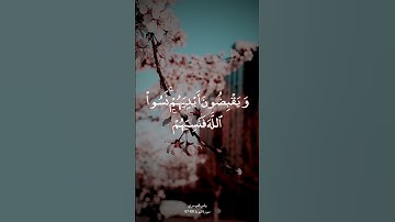 سورة التوبة (الآيات 66-67) - ياسر الدوسري | - Yasser Al-Dosari #اكسبلور #راحة_نفسية #لايك #فولو