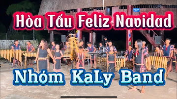 Feliz Navidad hòa tấu nhạc cụ #kalyband