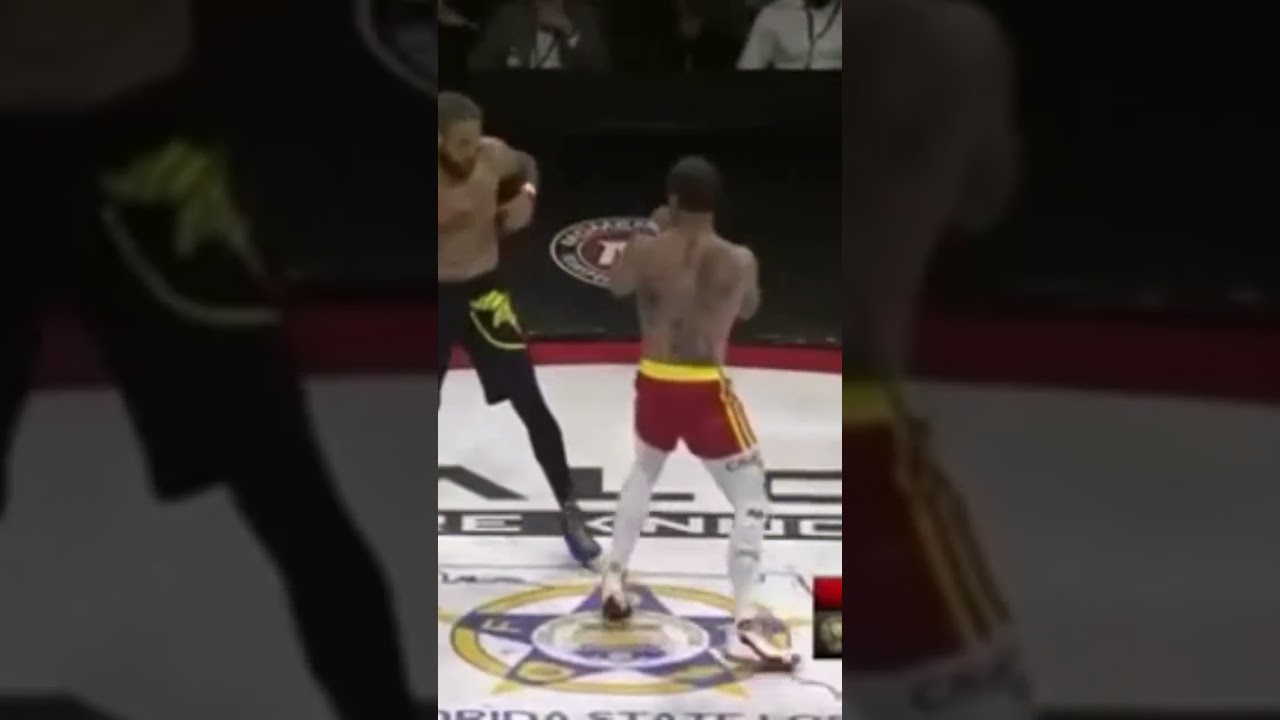 James White Lion Bodnar made his pro debut for 