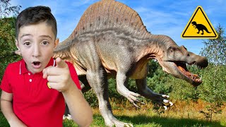 Dinosaur Museum 🦖 Learn Types of Dinosaurs for Kids 🦕 Dinosaurs for Kids