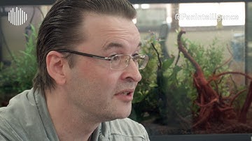 Advanced Exchequer Finance & Accounting Software - Embedding Panintelligence Dashboards