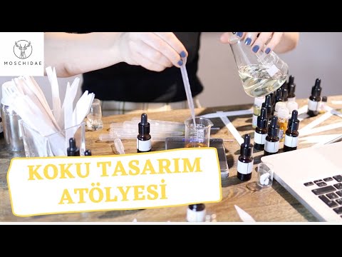 Video: Test: Sizin Için Hangi Koku Doğru - Oryantal, Tatlı Veya Belki üniseks?