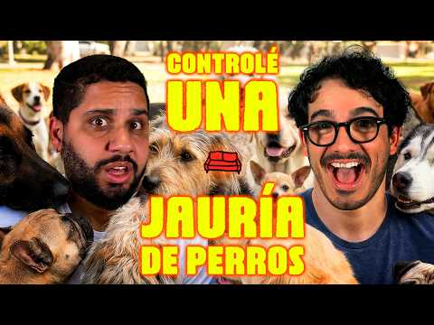 ME SALVÉ DE UNA JAURÍA DE PERROS!!!