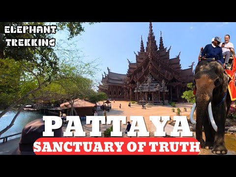Experience Elephant Trekking at Pattaya's Sanctuary of Truth | Thailand Guide