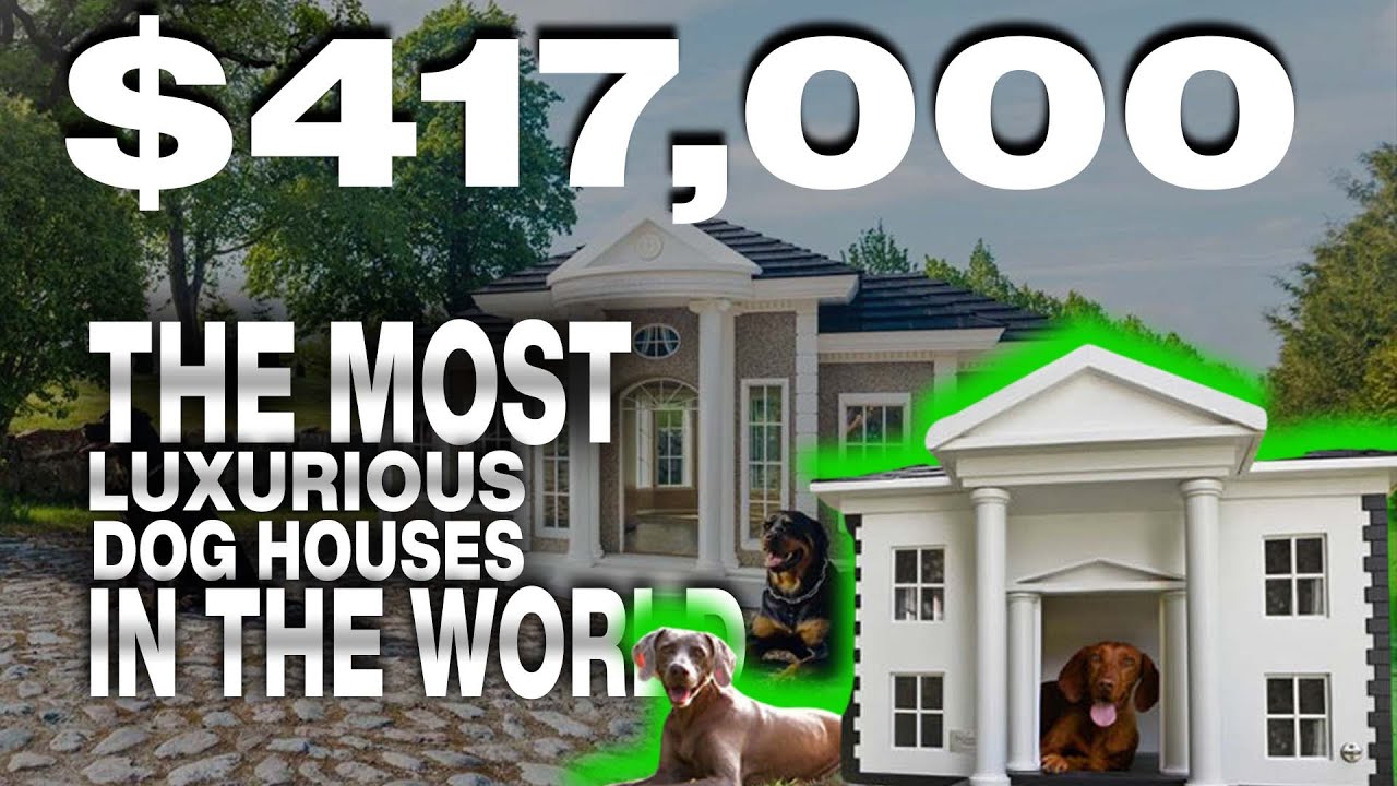 The Most Luxurious Dog Houses in the World Luxury Channel Luxury
