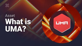 What is UMA crypto?