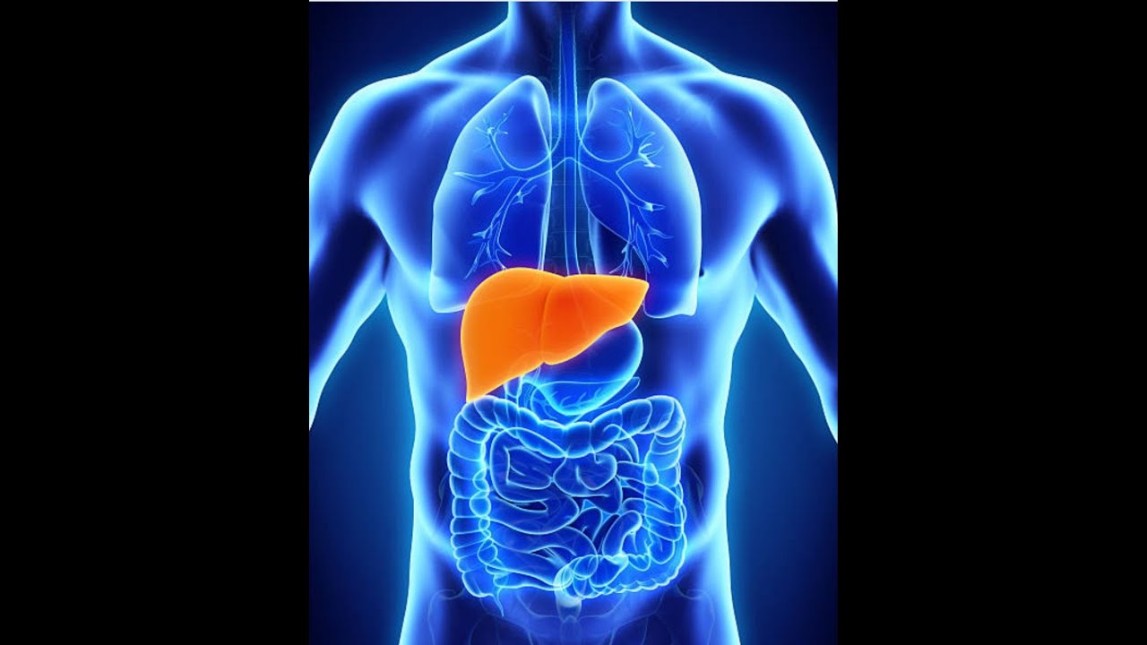 Лечение цирроза печени Ф4 динамика medico10 - YouTube