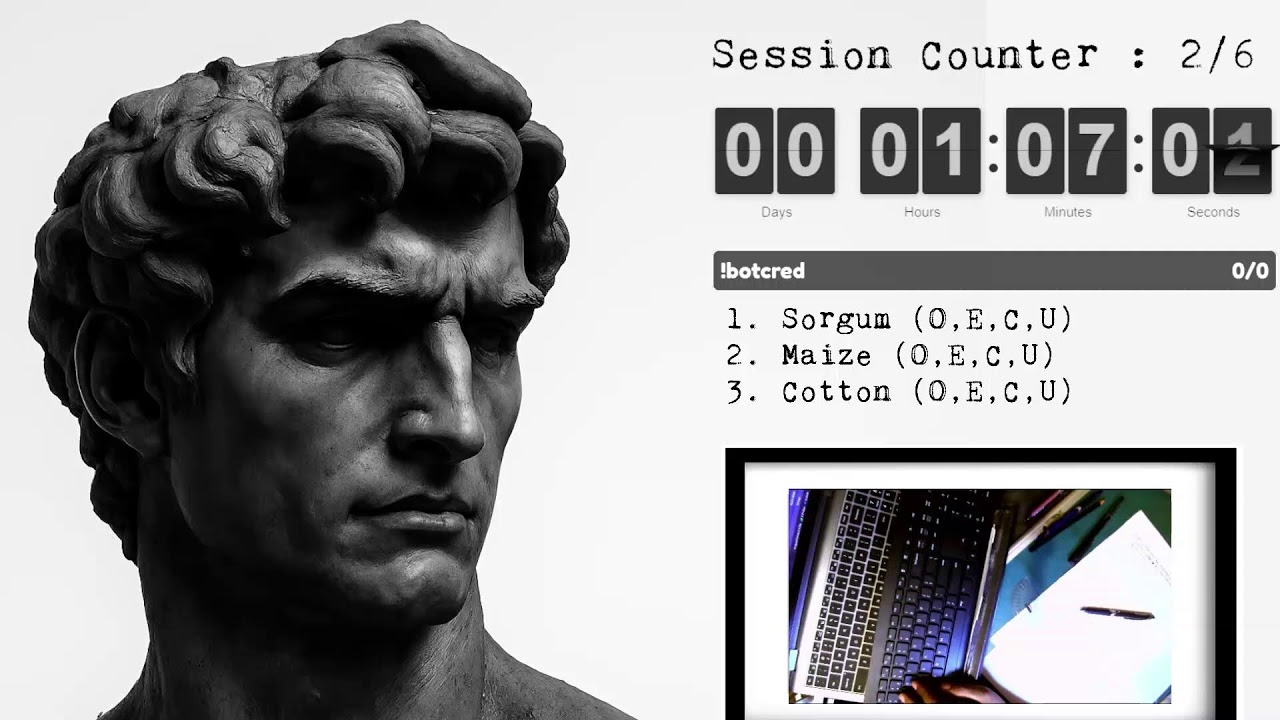 Study with me Serious study session 5 hours live!