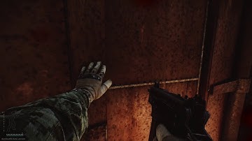Extract bug tarkov