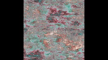 zebra - Dust (ALBUM)