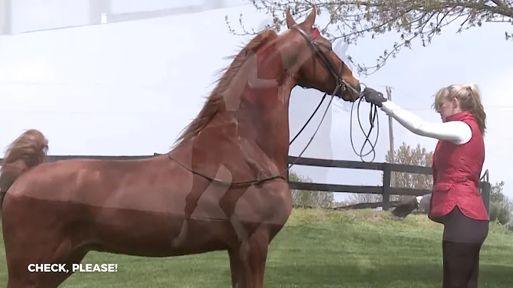 Stachowski Farm - April 2020 sale