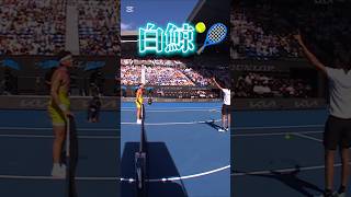 テニスの王子様（36）