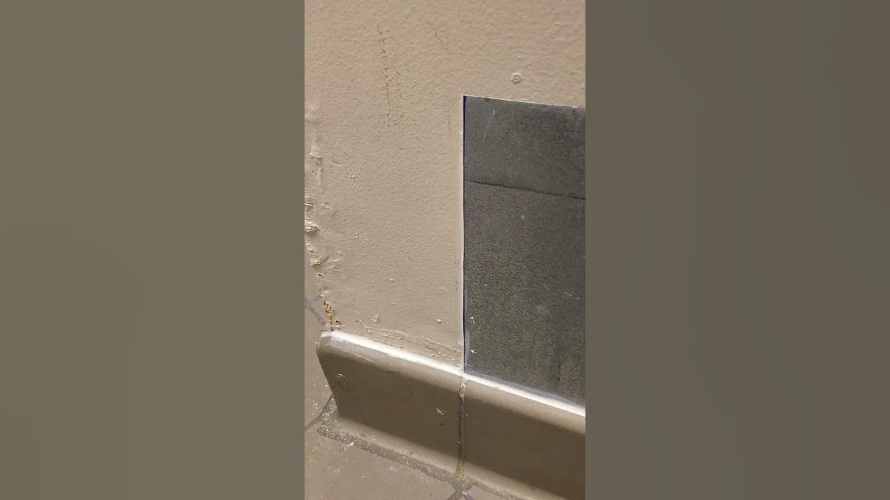 not-my-job-to-remove-dead-mouse-youtube