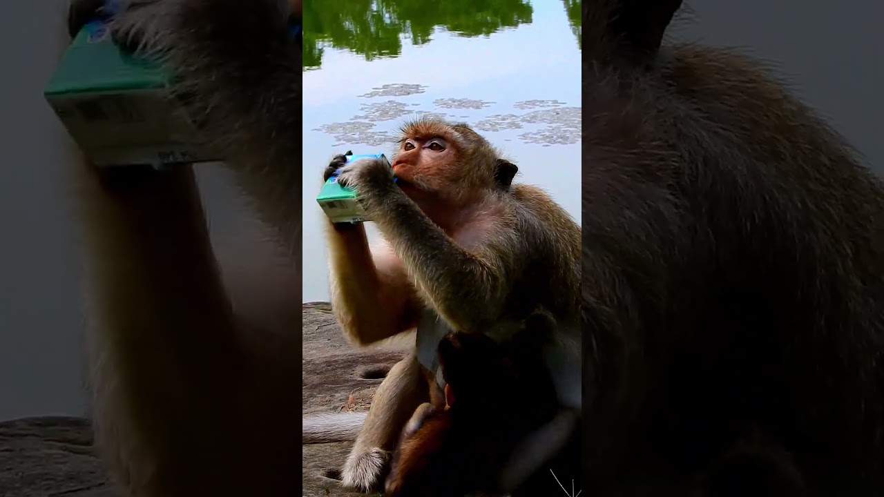 Adorable baby hugs mom look at mom eating yummy.
