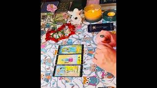 картинка: 🛡️🪬🛡️» ШОК 🤯 Шабаш стоит сегодня 💯% на коленях 🧎‍♀️‼️ Страшный Суд ‼️🛡️🪬таро онлайн чистки 