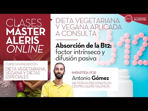 Vitamin B12 Absorption: Intrinsic Factor and Passive Diffusion | Máster Aleris