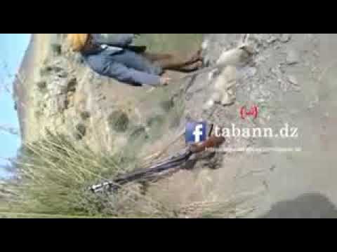 تاكي الجاج اه ههههه